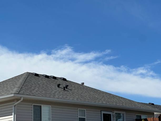 Best Roof Moss and Algae Removal  in Westmorland, CA